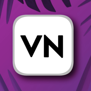 vn video editor