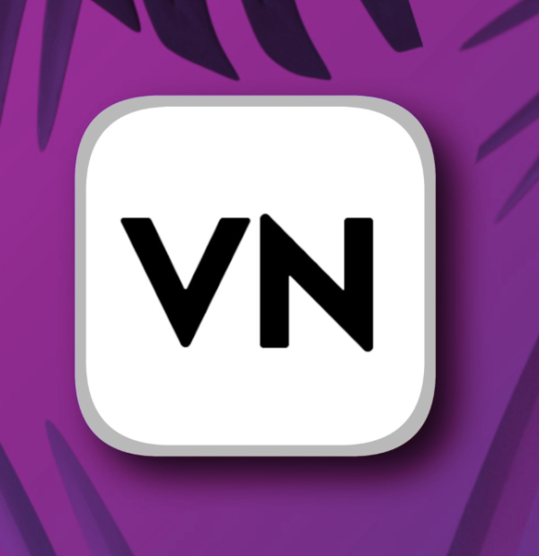 vn video editor